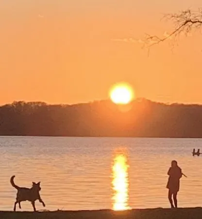 Labud 25 Am Ploener In