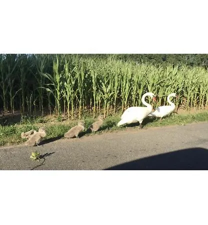 شقة Labud 25 Am Ploener In