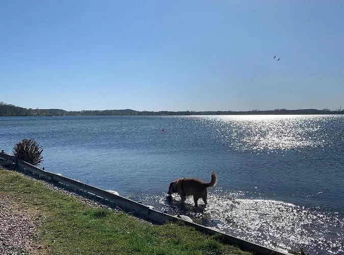 Labud 25 Am Ploener In Apartman *