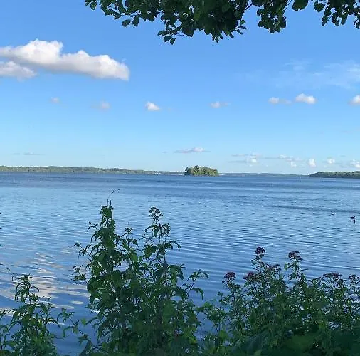 Labud 25 Am Ploener In *